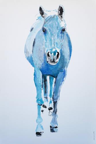 My-Blue-Horse-1-60x40