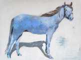 My-Blue-Horse-On-White-36x48