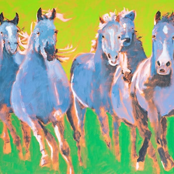 My-Blue-Horse-On-Green-30x48