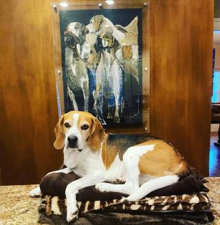 Carylon-Cooper-Art-in-the-home_22